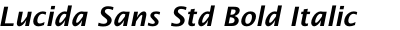 Lucida Sans Std Bold Italic